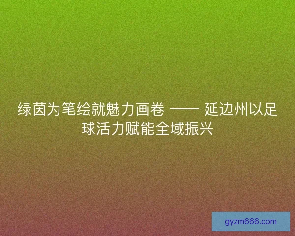 绿茵为笔绘就魅力画卷 —— 延边州以足球活力赋能全域振兴
