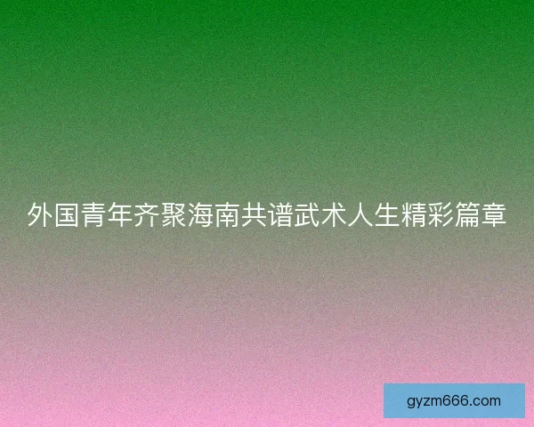 外国青年齐聚海南共谱武术人生精彩篇章