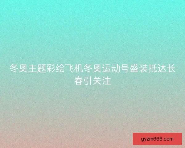 冬奥主题彩绘飞机冬奥运动号盛装抵达长春引关注